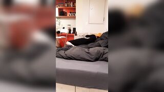korean porn 237763