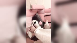 야갤 마멜 풀팩 (30)