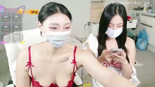 Kor_Cat_2025-06-05