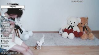 KOREAN BJ 2025072501 (5) 3