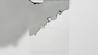 스튜어디스 섹스 영상 유출