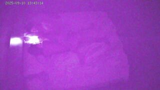 校园清纯女神腰肢柔软叫声动听被掰一字马操喷水 ipcam (8)