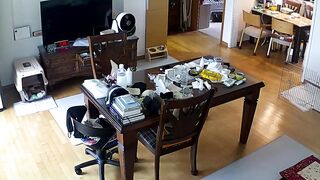 【破解摄像头】3部居家摄像头，大奶美女换衣福利3V[某房原版] ipcam (3)