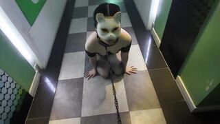 암고양이 조련하기 korean porn vip