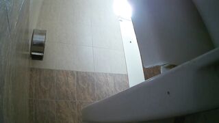 Gas_Station_Toilet_24 ipcam