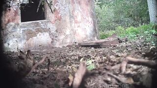 Girls Pissing Outdoors 1 ipcam