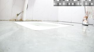 ある凄腕ハッカーが命がけでモデル事務所のトイレに忍び込み、女神の下半身がどんなものか皆に見せるために2台のDVカメラを設置した toilet 02