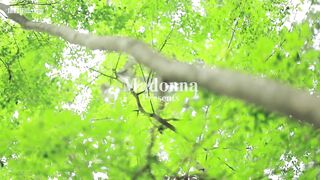 JUR-054 Sleepless Forest Beautiful Wife Suzuna Nami 28 Years Old AV DEBUT Reducing Mosaic JAV