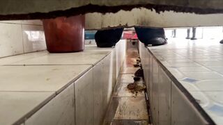 女性が乾いたトイレをこっそり撮影しながら拍手をする - 画面いっぱいに糞便が映る、下痢エピソード34 toilet 2 01