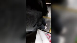 新たにリークされた❤️ 衝撃的な映像 【路上銃撃】超爆発！少女を撃ち、射精排尿（2） ipcam 17-190426