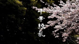 『高画質原盤２３.３GB』【無修正】経験人数1人。美乳な清純美女と初ハメ撮り jvip