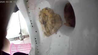 【最高画質トイレショット】大学寮シリーズ：排便アルバム - 15時間、女子学生200人以上 toilet 3 05-150526