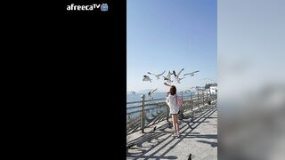 KOREAN BJ 2016111704 korean bj 170526 008