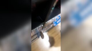 激ヤバピンク-本に夢中な女子大生を直下撮り voyeur jp 01-250526