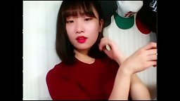 BJ 다솜(하롬) 모음 - 15